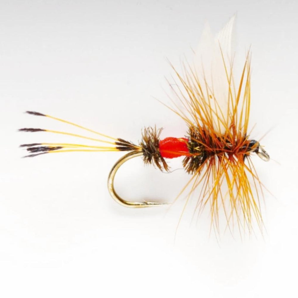 Orvis Dry Flies | Royal Coachman - Fly Fishing