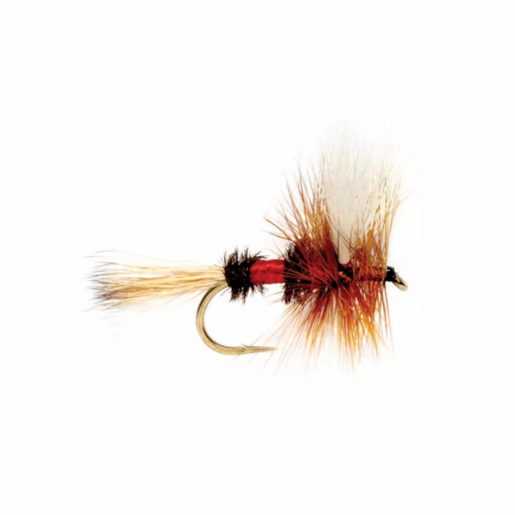 Orvis Dry Flies | Royal Wulff - Fly Fishing
