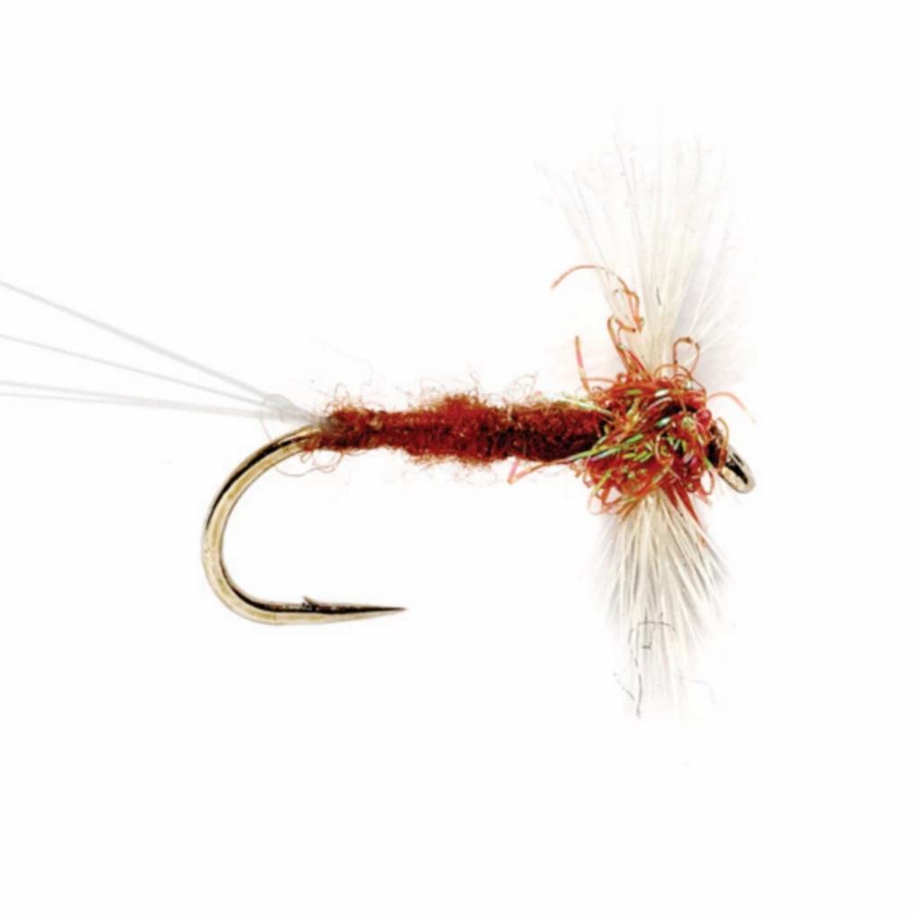 Orvis Dry Flies | Rusty Spinner - Fly Fishing