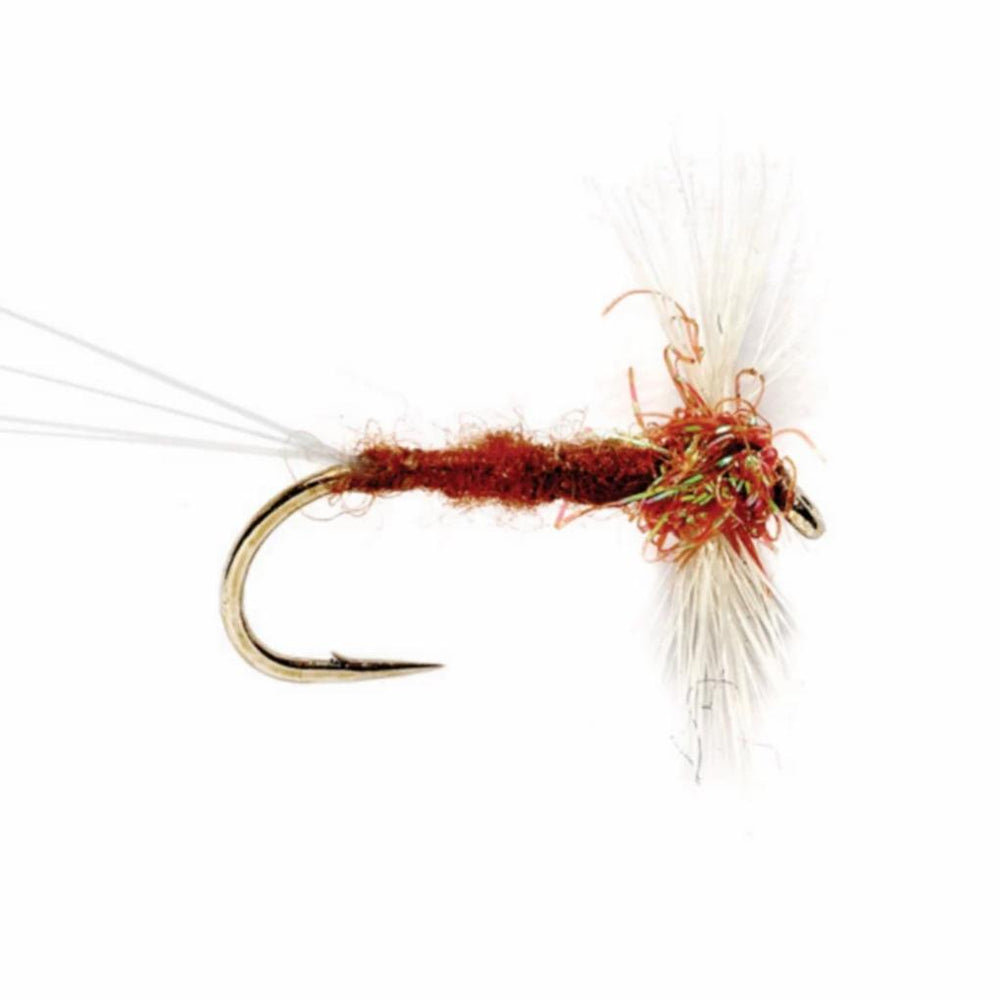 Orvis Dry Flies | Rusty Spinner - Fly Fishing