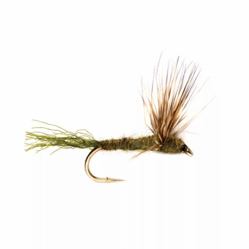 Orvis Dry Flies | Sparkle Dun Bwo - Fly Fishing