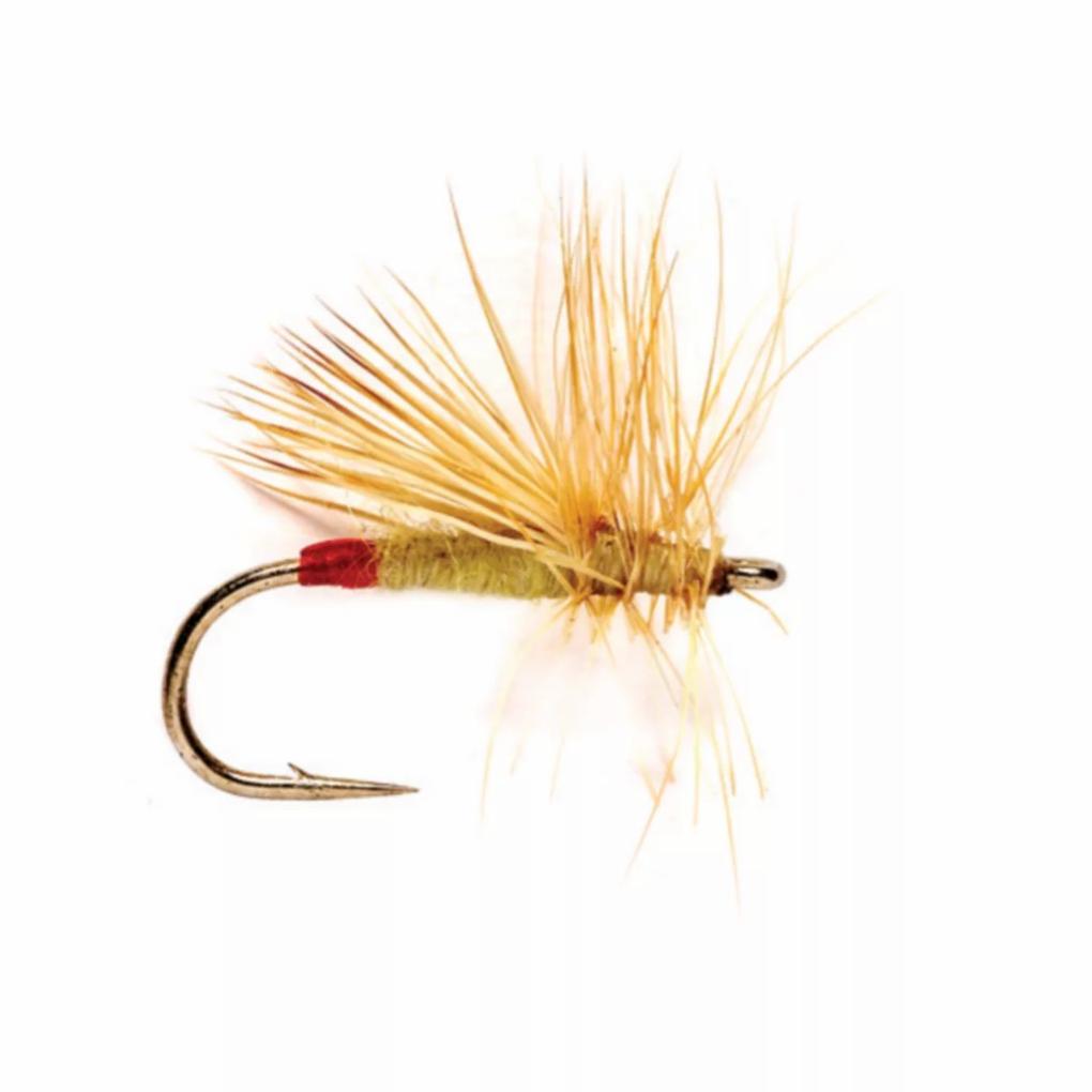 Orvis Dry Flies | Yellow Sally - Fly Fishing
