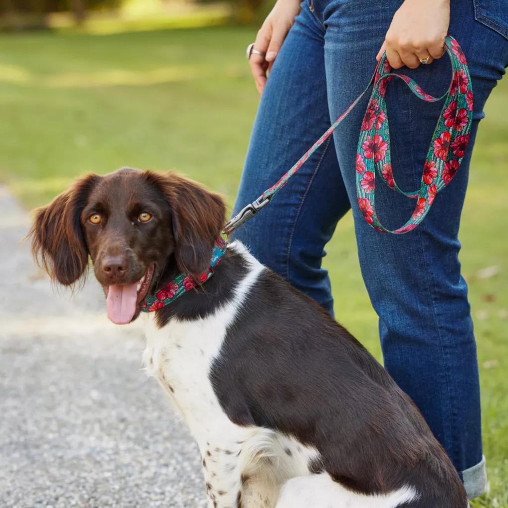 Orvis Leashes | Orvis X Fishe® Wear Dog Leash Beauty&amp;bonefish - Dogs