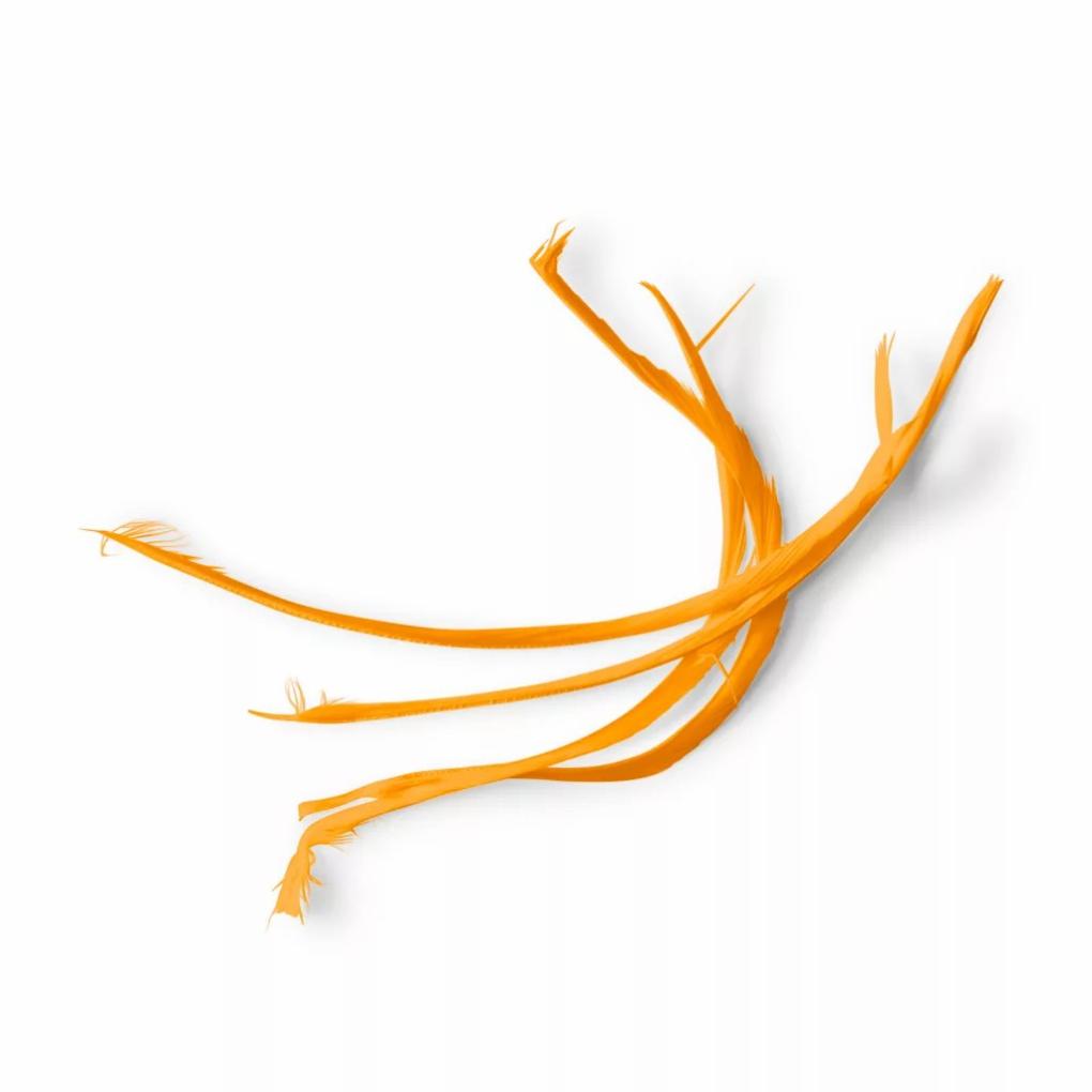 Orvis Materials | Goose Biots Amber - Fly Fishing