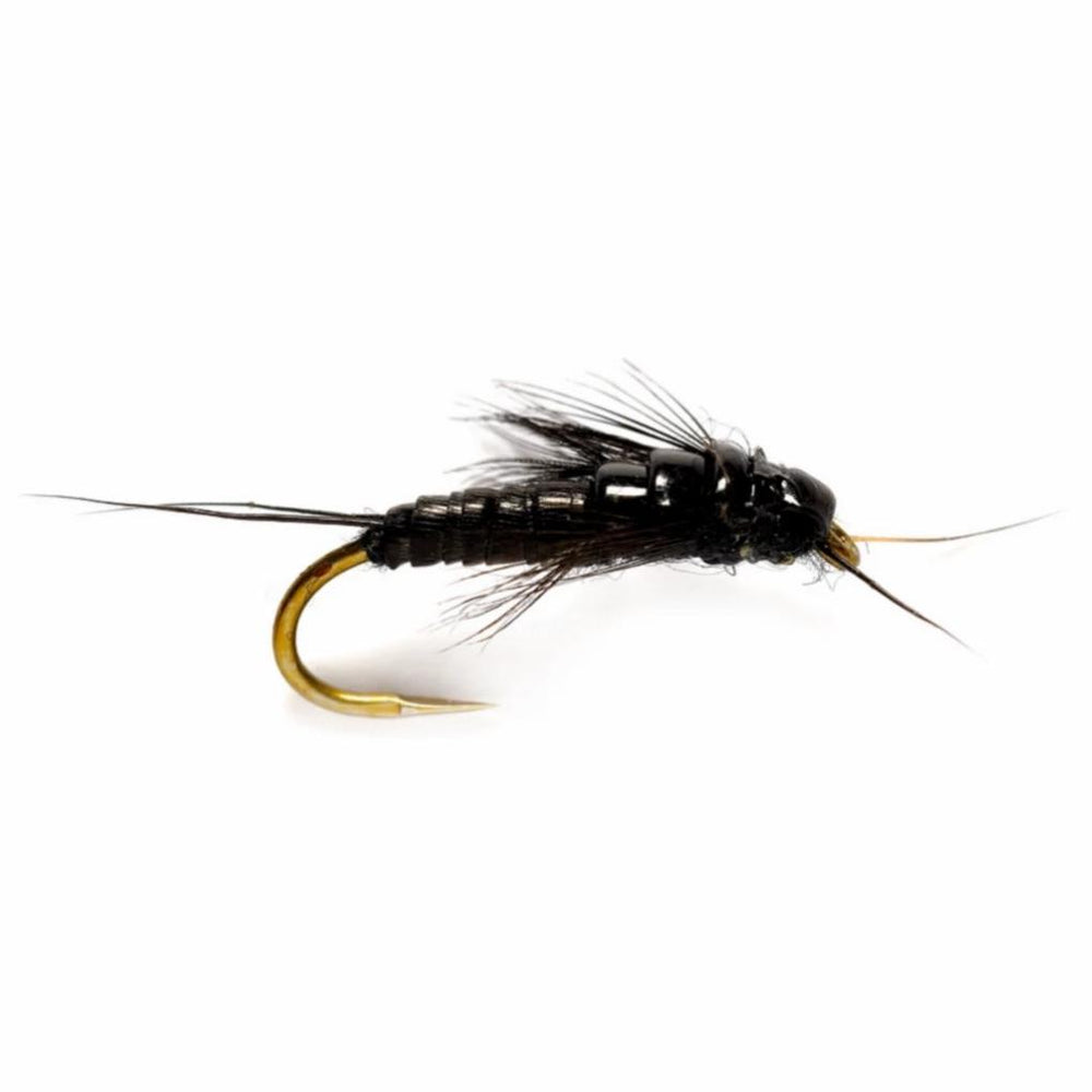 Orvis Nymphs | Little Black Stonefly - Fly Fishing