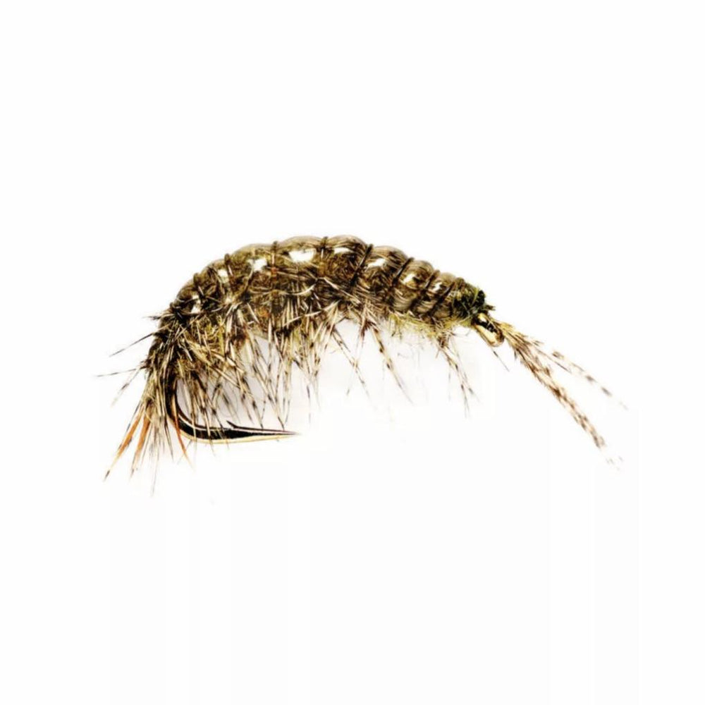 Orvis Nymphs | Oliver Edward’s Freshwater Shrimp - Fly Fishing