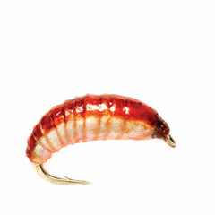 Orvis Nymphs | Ooey Gooey Grub - Fly Fishing
