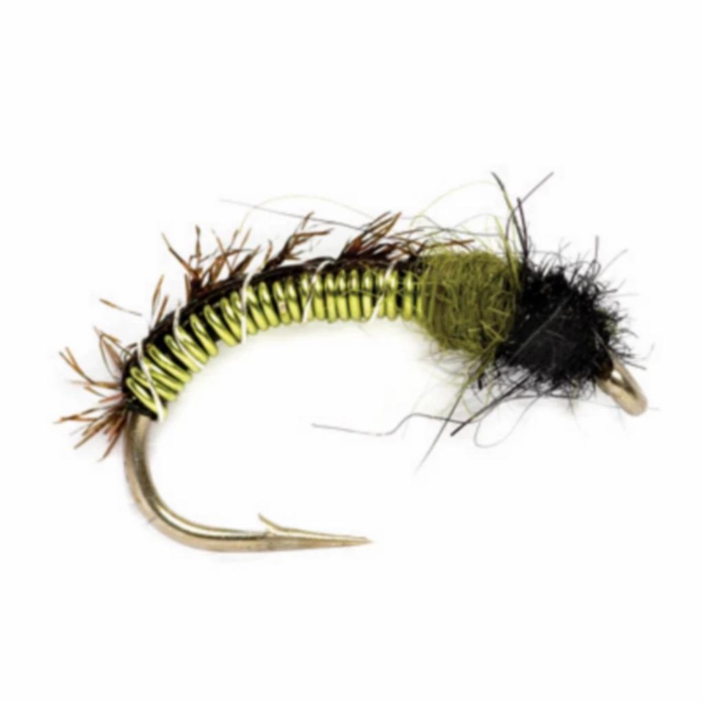 Orvis Nymphs | Shaggy Wire Caddis - Fly Fishing