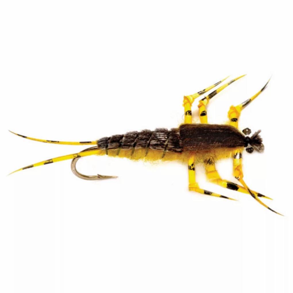 Orvis Nymphs | Ted’s Golden Stone - Fly Fishing