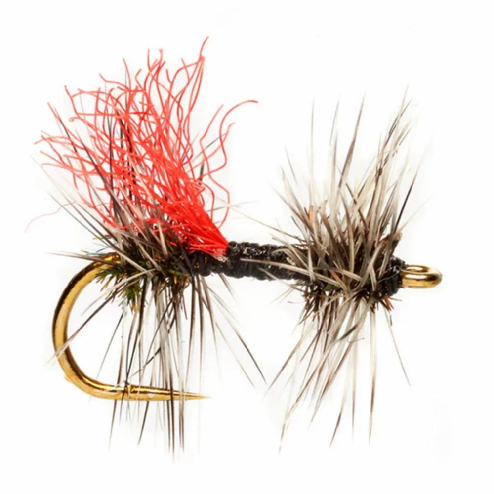 Orvis Tom Rosenbauer Collection | Rosenbauer’s Double Griffith’s Gnat - Fly Fishing