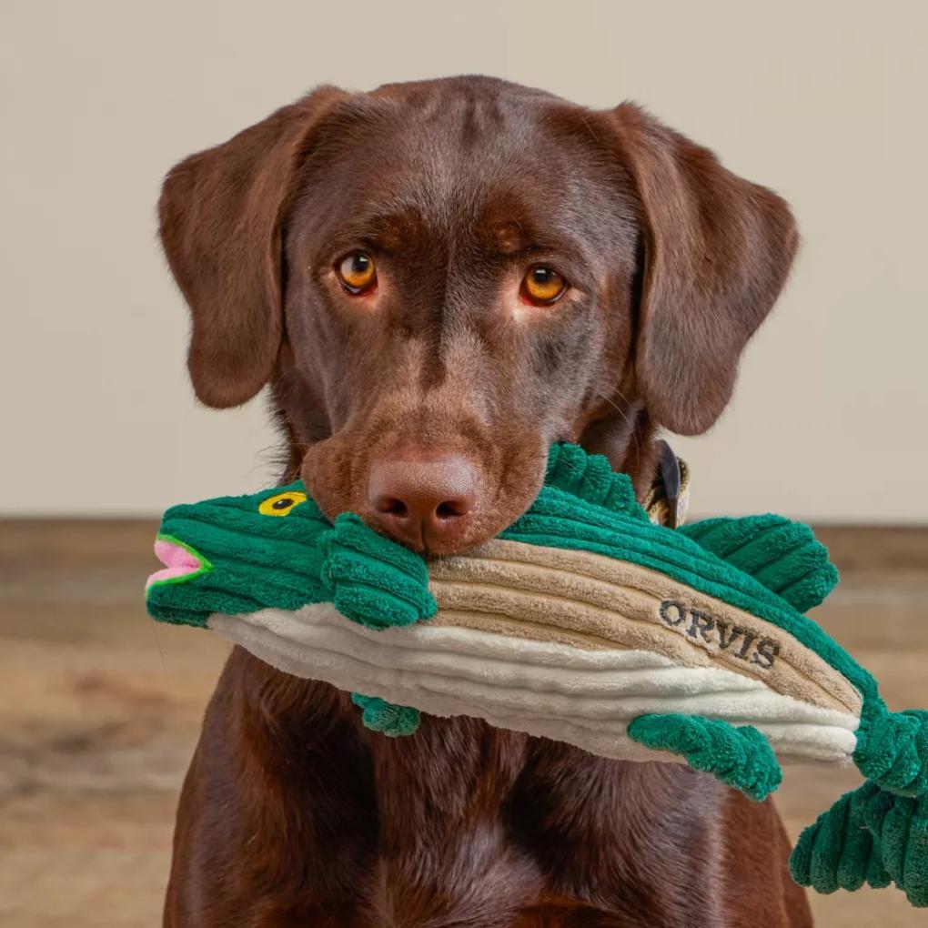 Orvis Toys | Animal Squeaky Toys Largemouth Bass - Dogs