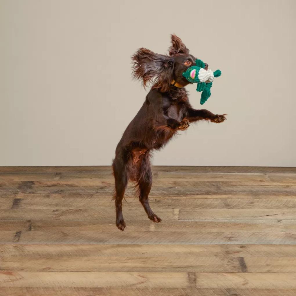 Orvis Toys | Animal Squeaky Toys Largemouth Bass - Dogs