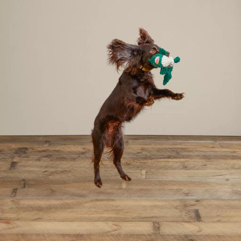 Orvis Toys | Animal Squeaky Toys Largemouth Bass - Dogs