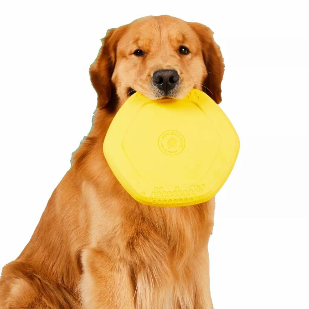 Orvis Toys | Hive Disc &amp; Lick Mat - Dogs