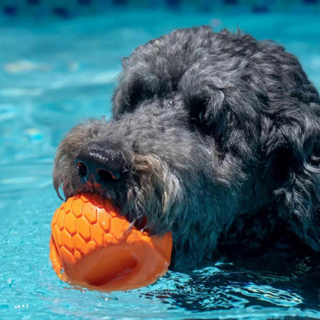 Orvis Toys | Hydro Handler Dog Toy - Dogs