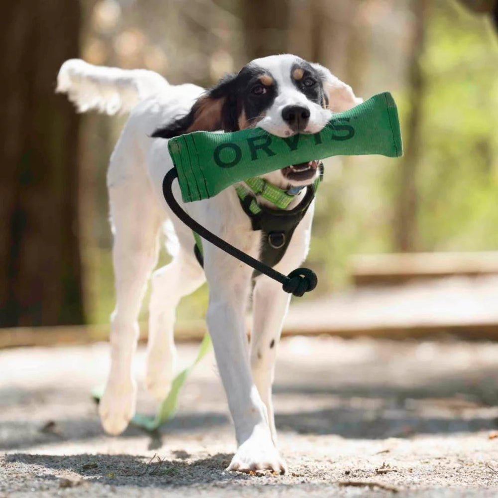 Orvis Toys | Orvis Bumper - Dogs/Hunt