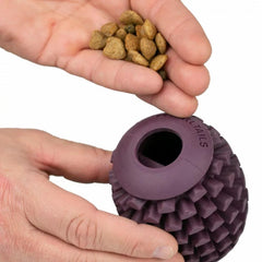 Orvis Toys | Pinecone Reward Dog Toy - Dogs