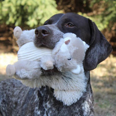 Orvis Toys | Twitchy Tail Squirrel Toy - Dogs