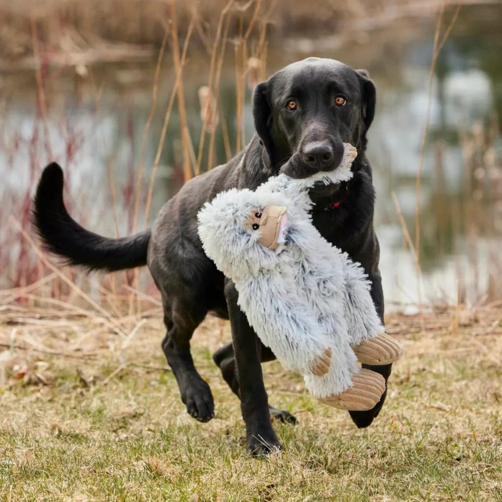Orvis Toys | Yeti Dog Toy - Dogs