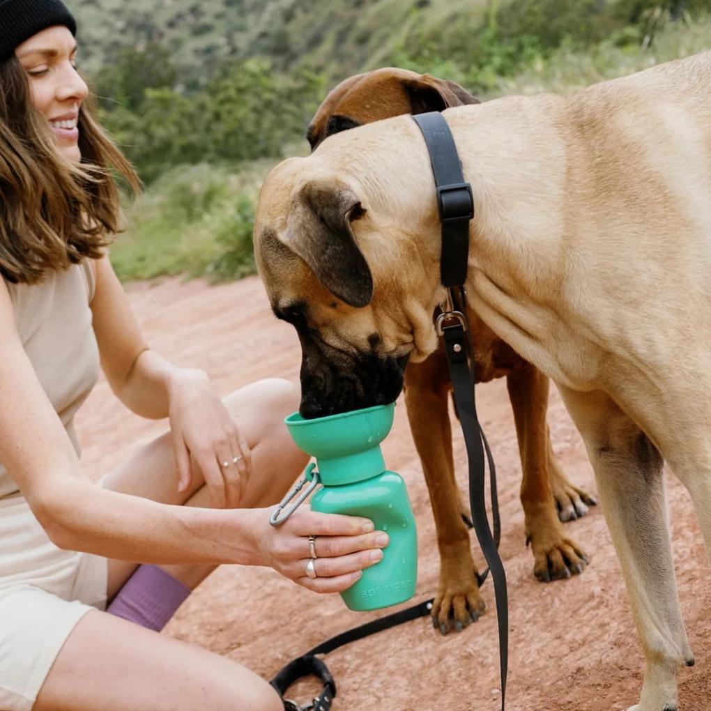 Orvis Travel Accessories | Flip Dog Travel Water Bottle Green - Dogs/Hunt