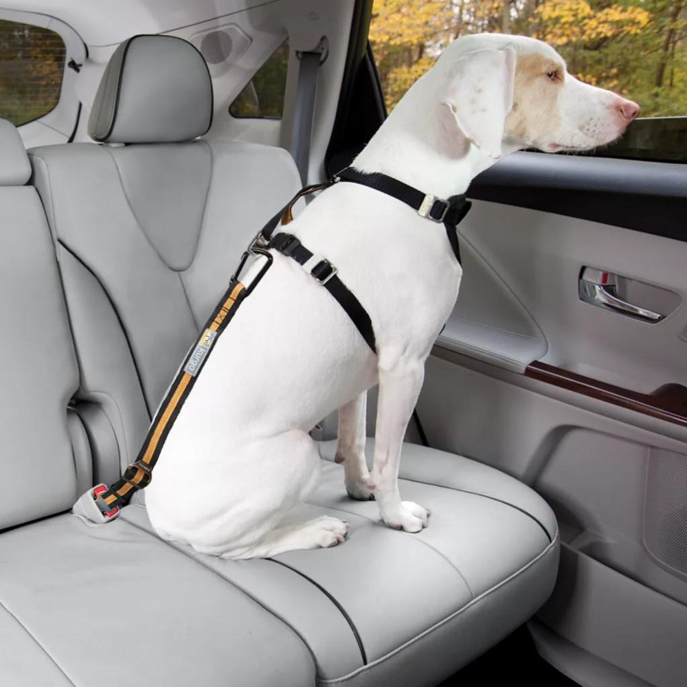 Orvis Travel Accessories | Kurgo® Seatbelt Buckle Dog Tether - Dogs