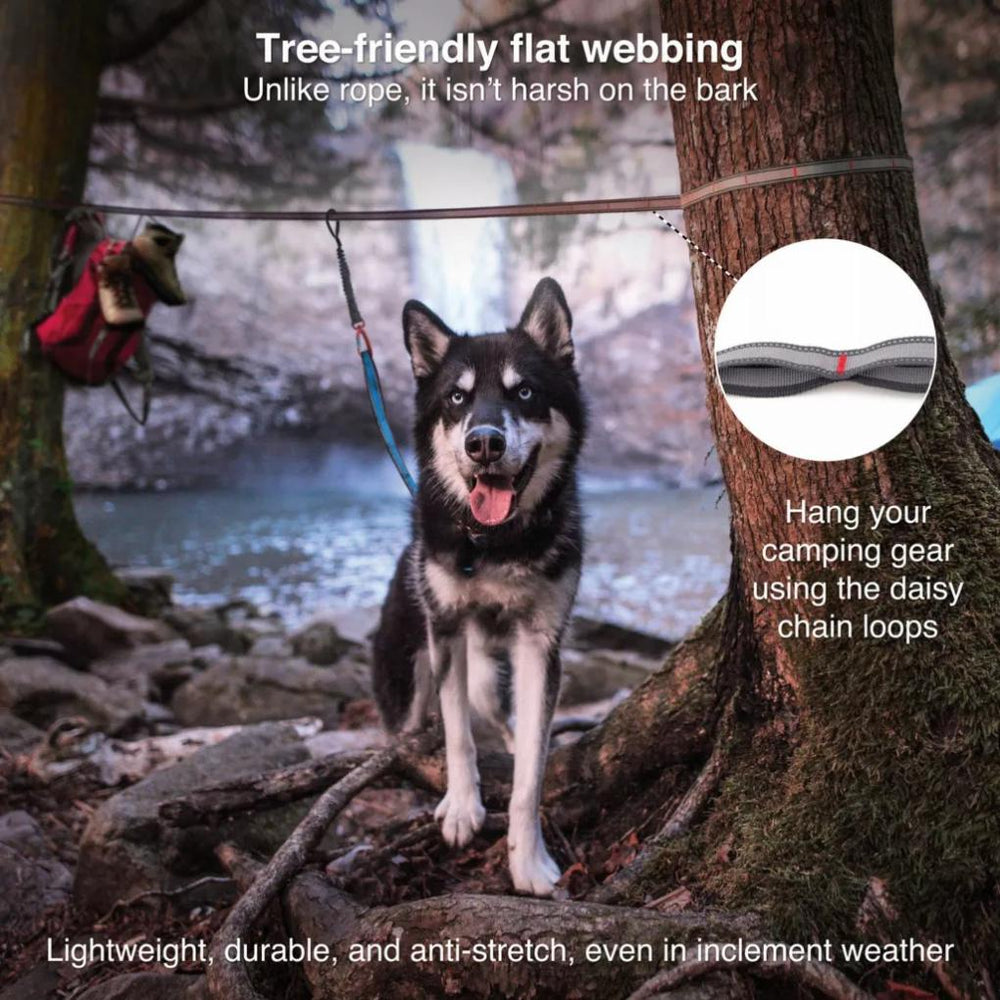 Orvis Travel Accessories | Ridgeline Tie Out - Dogs