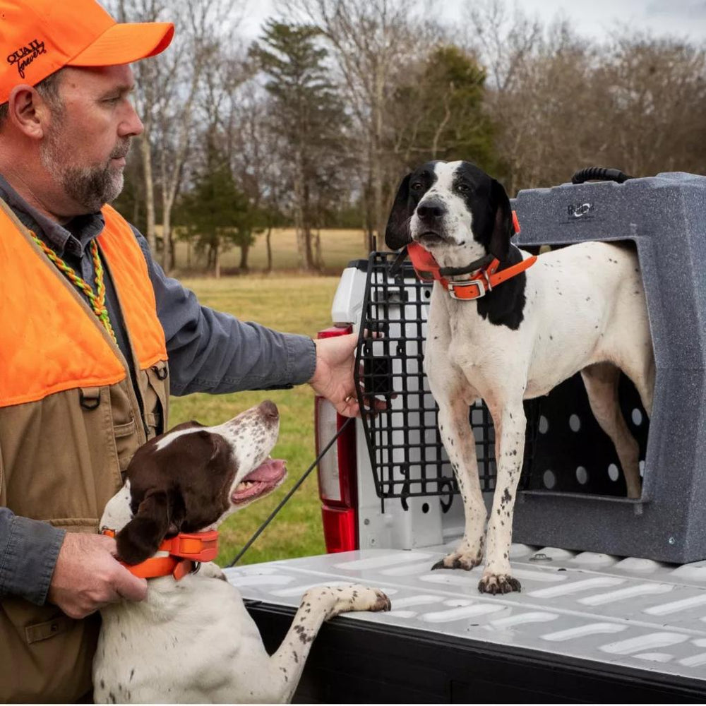 Orvis Travel Crates | Ruff Land™ Performance Dog Kennel Gray - Dogs/Hunt