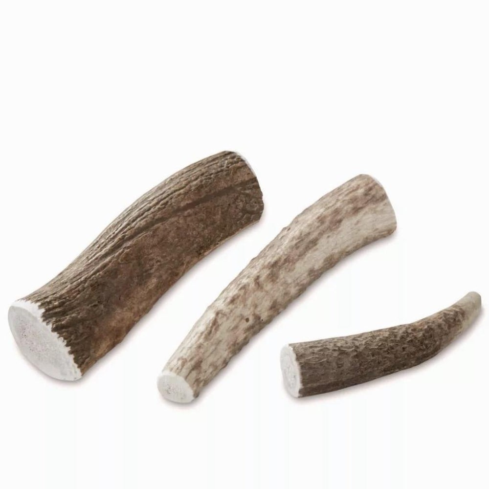 Orvis Treats | Elk Antler Chews - Dogs