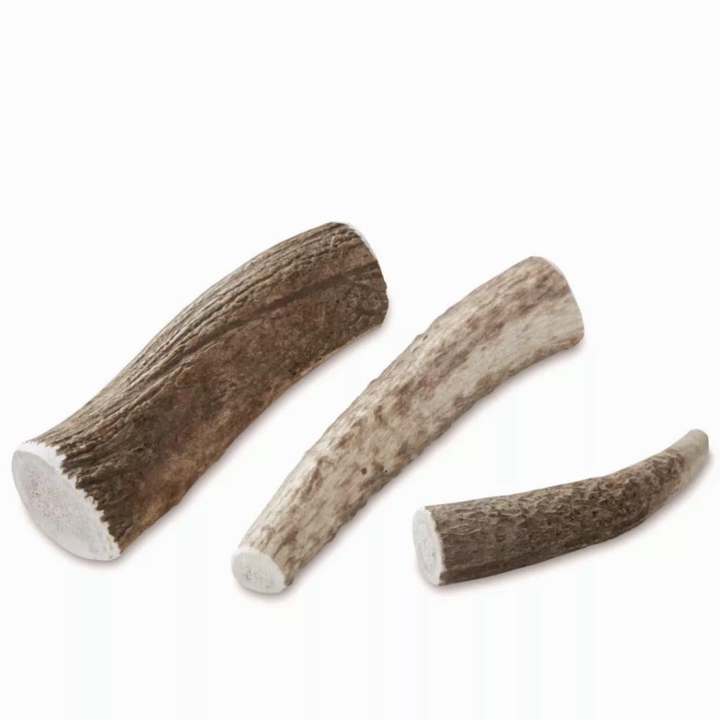 Orvis Treats | Elk Antler Chews - Dogs