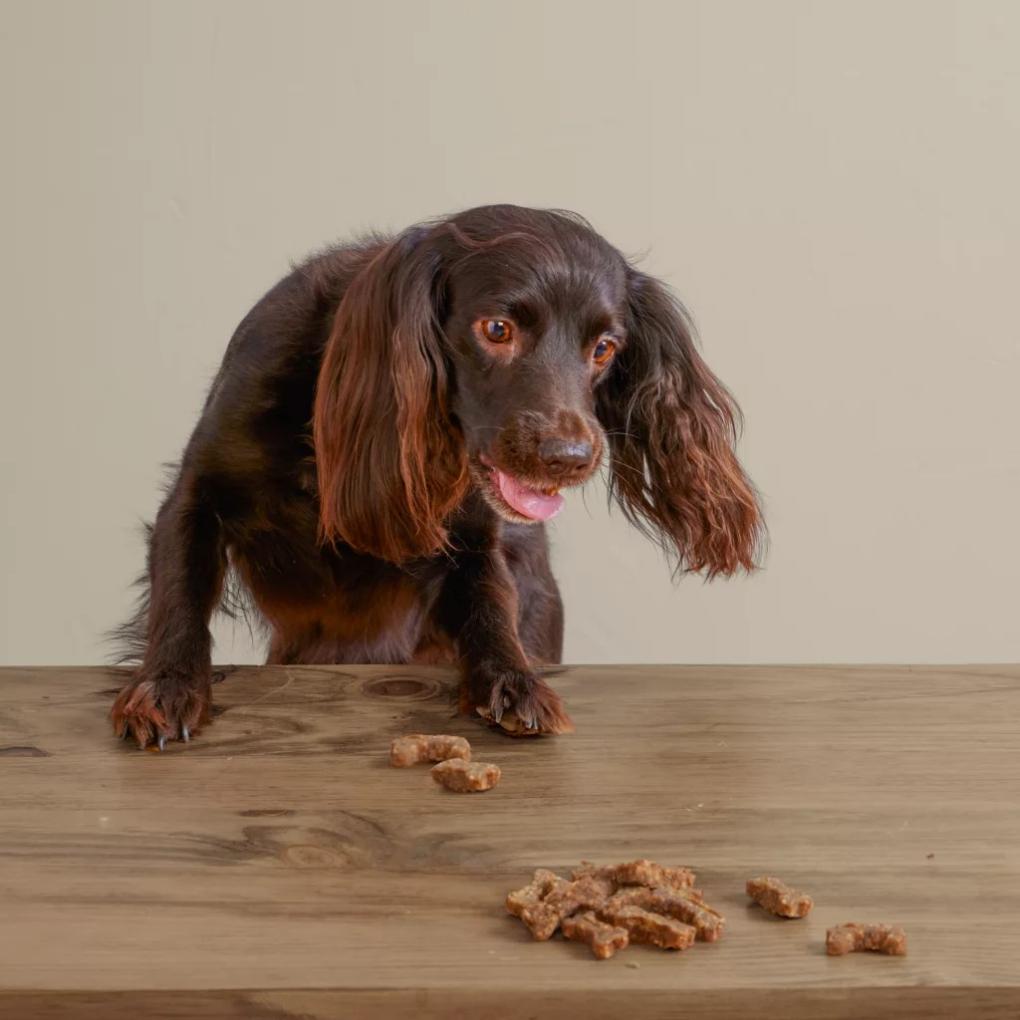 Orvis Treats | Polkadog Green Monstah Bones - Dogs