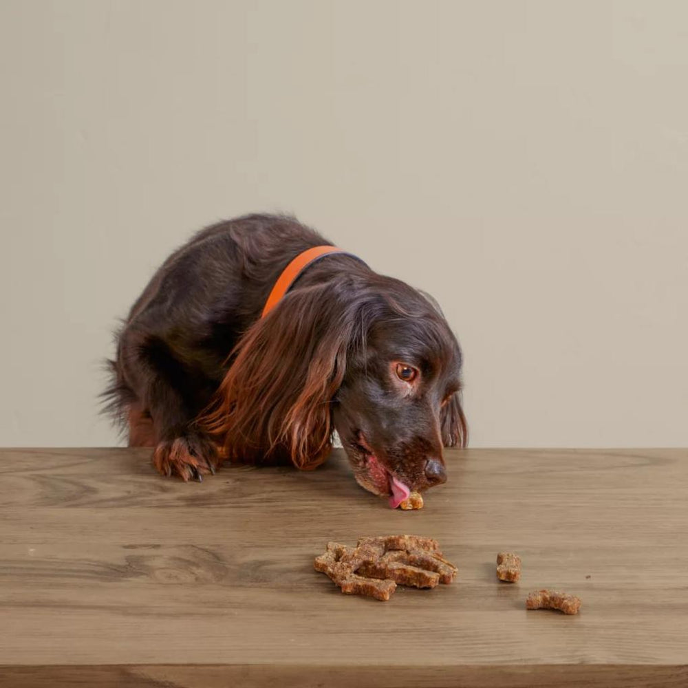 Orvis Treats | Polkadog Green Monstah Bones - Dogs