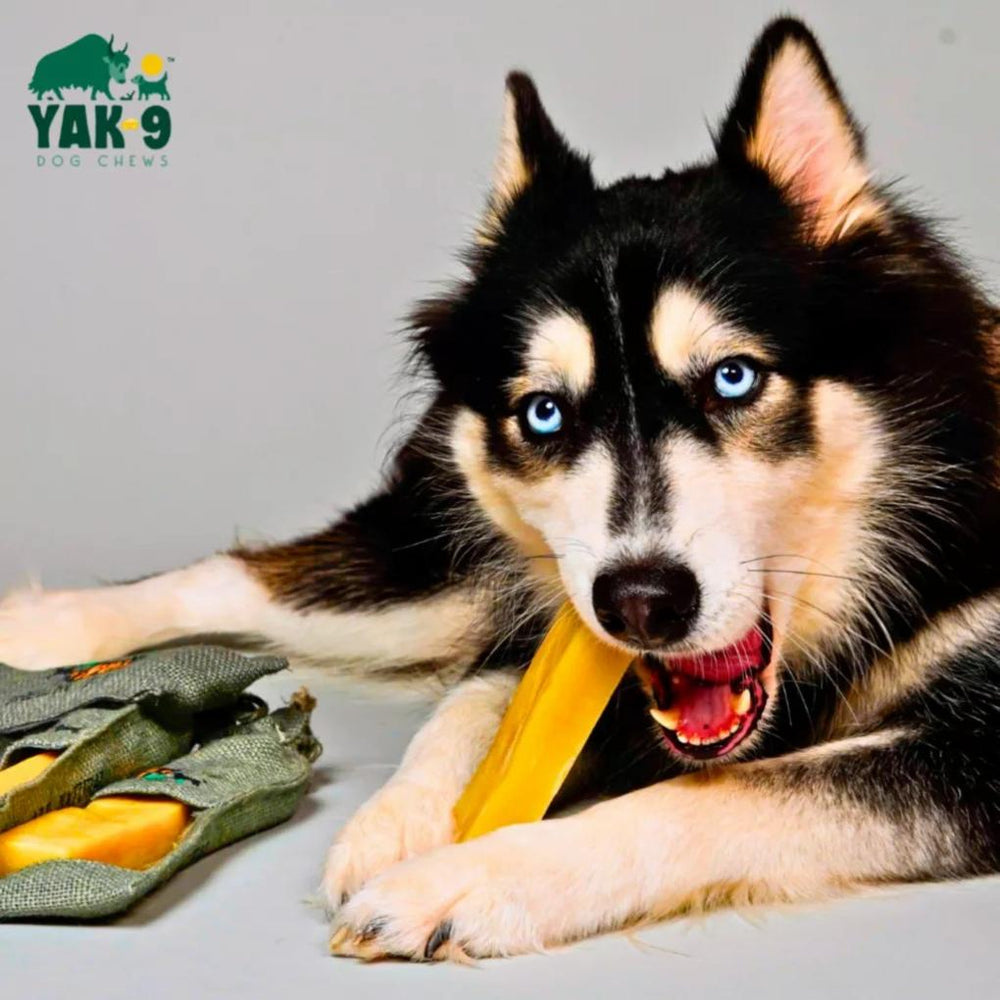 Orvis Treats | Yak9 Dog Chews - Bundle - Dogs